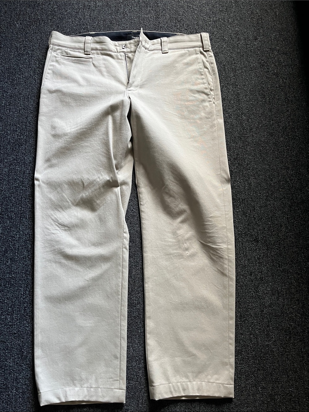 Theory Men's Utility Modern Canvas Pant